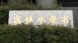 Japan: Rice prices in Japan hit record high