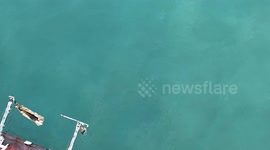 International Crisis: Sanctioned Tanker KAIROS, Struck by Ukraine, Abandoned Near Bulgaria’s Coast