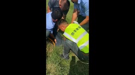 Dramatic Rescue: Firefighters and Workers Pull Man from Narrow Deep Well in Central China