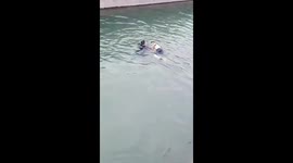 ​Good Samaritans Use Red Banner as Rope to Rescue Drowning Woman in China Canal