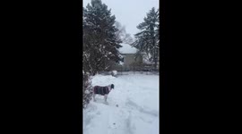 US: Cold Front Sweeps Through Illinois, Causing Travel Disruptions