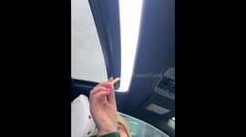 Curious seagull steals French fry from sunroof in Kawartha Lakes, Canada