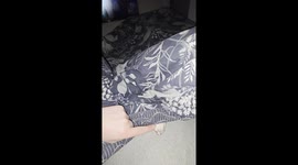 Dog hiding under a blanket while lying on its back in Courrières, France