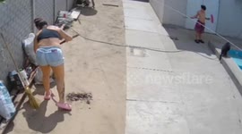 Dog suffering heatstroke in Reconquista, Santa Fe, Argentina