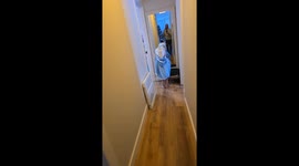 ‘I don’t look like Elsa!’: Toddler’s costume crisis goes viral