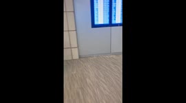 Hippo-costumed airport reunion goes viral—TikTok clip hits 358K views