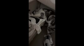 The Great Nightstand Heist