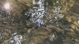 Where the sun meets the crystal clear water downstream of the beautiful and powerful Khlong Lan waterfall in Thailand.
