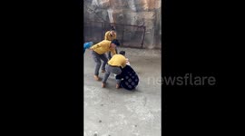 Terrifying moment bear mauls keeper during show at Chinese zoo - visitors watch on in shock