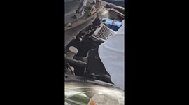 Snake handler removes angry monocled cobra from car engine