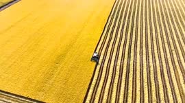 China: China makes solid progress in rural modernization in 2025