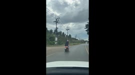 Dog wears helmet as he cruises on the back of motorcyle