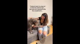 Dog overcomes stethoscope fear after owner’s sweet at-home training