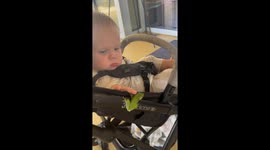 Baby Unbothered By Frog Jumping On Head