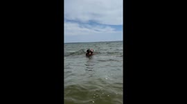 Brazilian tourists stage hilarious ‘underwater motorbike’ illusion using only their hands