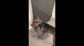 Reminder to slow down and enjoy the days as times goes fast. Look how much Arlo has grown