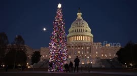 Radiant Christmas tree adorns US Capitol’s West Lawn