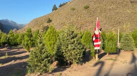 Shoppers buy Christmas trees at Santa's Farm in Half Moon Bay