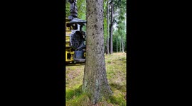 A Waratah cutting head calmly grips and fells a tree in a flawless, almost hypnotic sequence, turning raw forestry work into a relaxing ASMR-style technological performance. This viral clip, with over 7 million views on Instagram and 3.4 million on TikTok