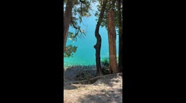 The NYC Rats Can Swim Now?