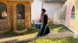 Libya’s 5-star cat hotel provides luxury care for cats