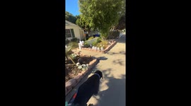 Can’t Trust These Halloween Decorations!