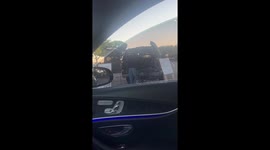 Free Frenchie Gets New Home