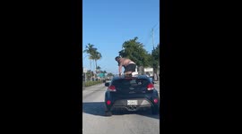 Florida Man Climbs on Top of Moving Vehicle