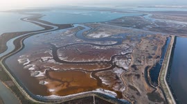 Drone captures spectacular pink salt ponds of Alviso Marina County Park in California