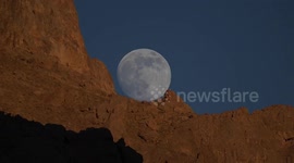 Wild mountain goats captured against striking full moon in eastern Türkiye