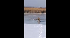 ATV falls through ice during fishing incident in Primorsky, Russia