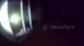 US: Officer Revives Husky After 30 Minutes Of Life Saving Efforts In Sanford Fire