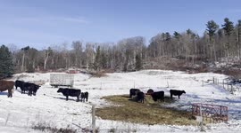 Extreme Cold in Bennington Vermont