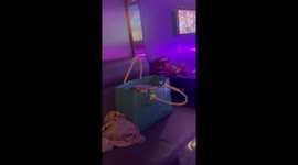 Cat’s First KTV Concert