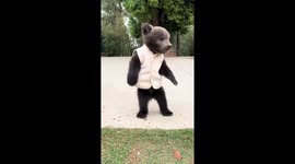 The Little Bear's Quick Escape Act