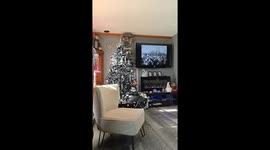 Me enjoying my Christmas tree