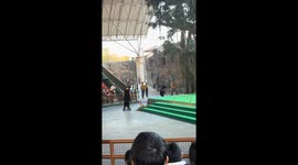 Bear bites keeper during zoo performance mishap in Zhejiang, China