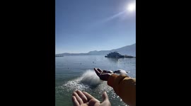 Close encounter with seagull during beach feeding in Yunnan, China