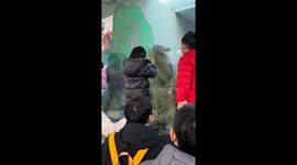 Little girl mimics a lion behind the glass at the zoo in Tianjin, China