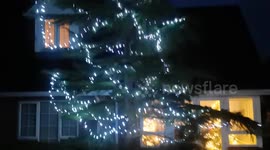 Christmas Lights Blown By Storm Bram