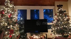 Christmas Lights & Storm Bram (Inside View)