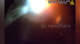 Sanford Officer Revives Dog Rescued From Burning Home