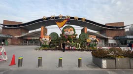 China: Eurasian lynxes catch spotlight at Zhengzhou Zoo as inspiration for Zootopia 2 villain