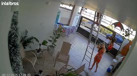 Man hangs from ladder during Christmas decoration mishap in Manaus, Brazil