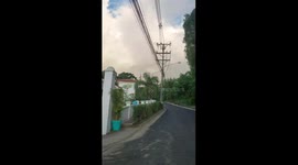 Mission Impossible Monkey