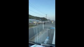 Wild Boar Piglets Spotted Crossing Road in Rural Japan