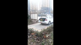 Driving instructor gets trapped in trunk during lesson in Henan, China