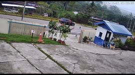 Motorcycle rider chased by cow in Keningau, Sabah, Malaysia