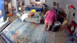 Kiddo Crawling on All Fours Startles His Family