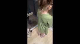 Leg Blocks Racing Puppy